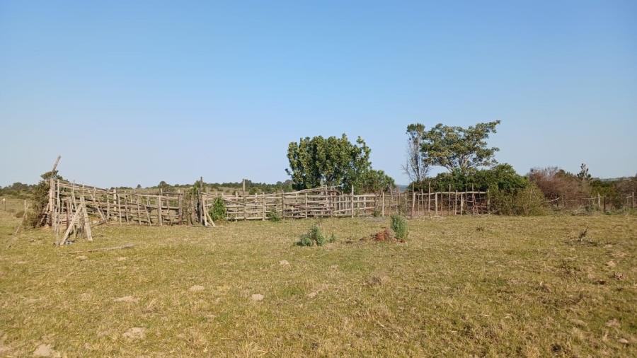 Commercial Property for Sale in Bathurst Eastern Cape
